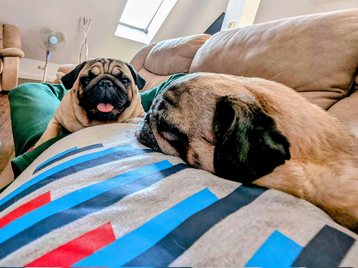 Tęsknię za nimi 🥹