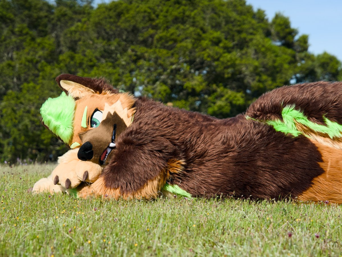 Sequoia π² (@sequoiashep) on Twitter photo It's summer!! Perfect time to consider bringing your dog to the park!
(Please? I swear I've been a good boy lately)
π·: <a href="/YukitoTheFox/">βοΈYukitoβοΈ</a> It's summer!! Perfect time to consider bringing your dog to the park!
(Please? I swear I've been a good boy lately)
π·: <a href="/YukitoTheFox/">βοΈYukitoβοΈ</a>