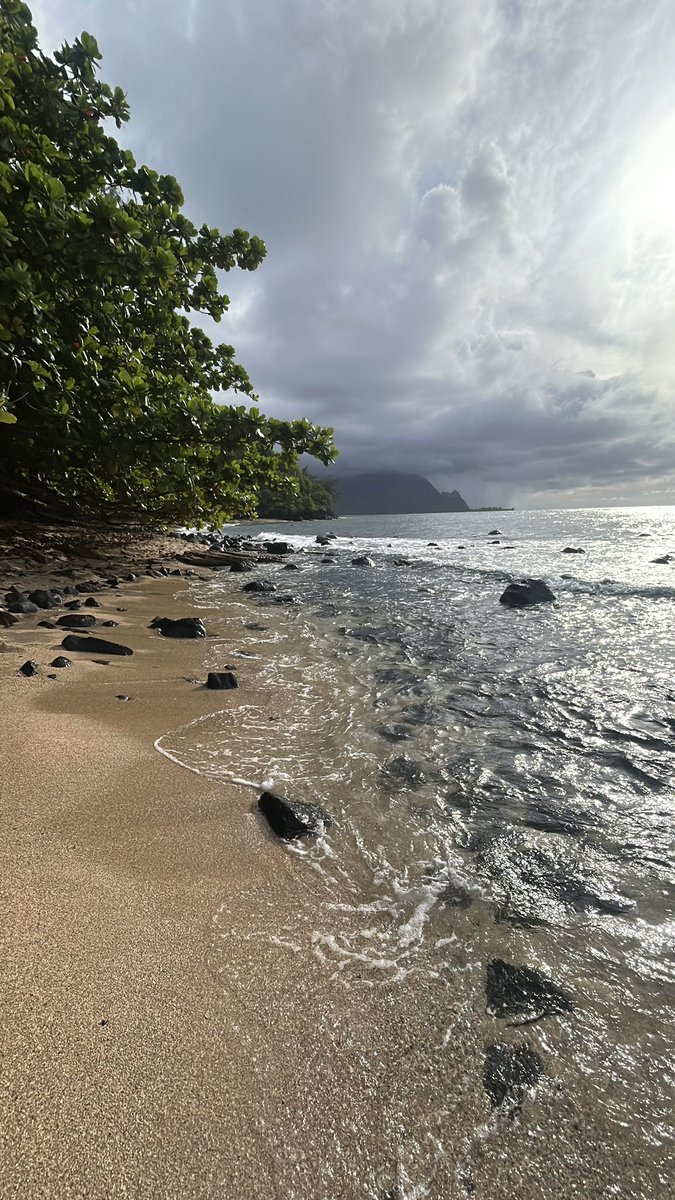 jayrizpop's tweet image. much needed vacation. north shore Kauai 🌴