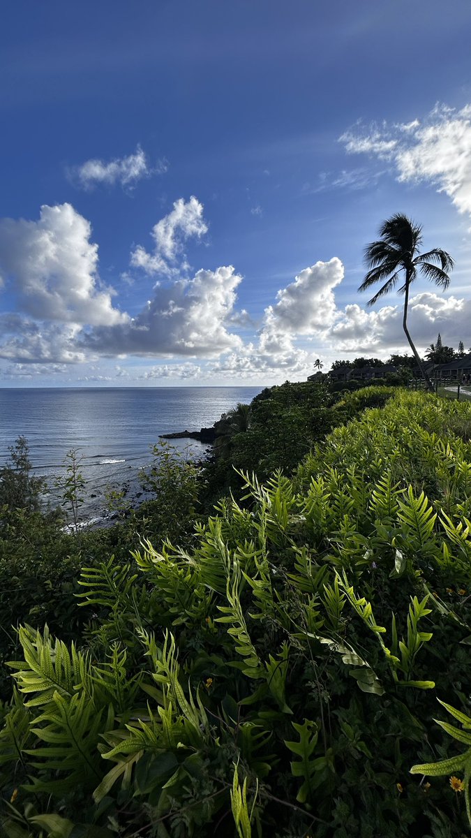 jayrizpop's tweet image. much needed vacation. north shore Kauai 🌴