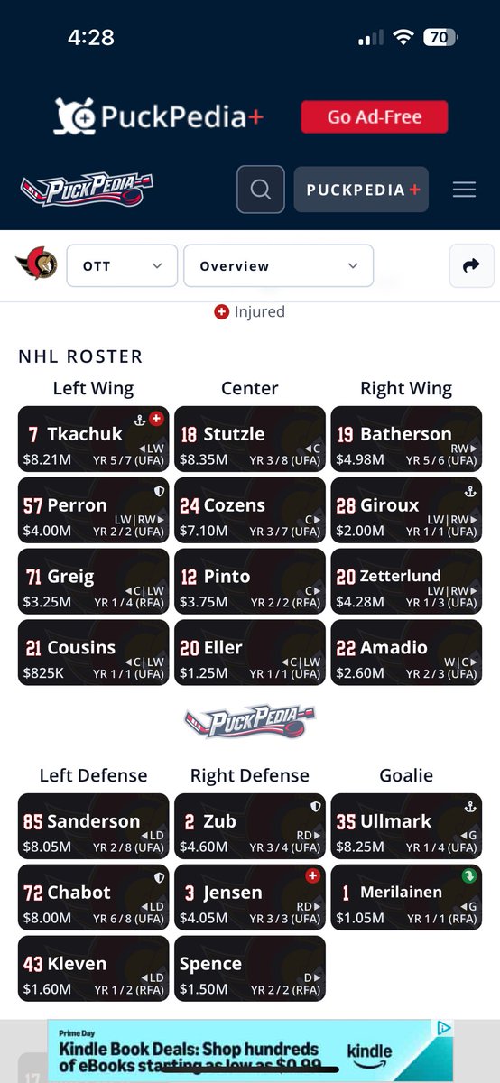 spader_mac's tweet image. What do we think, #Sens fans?