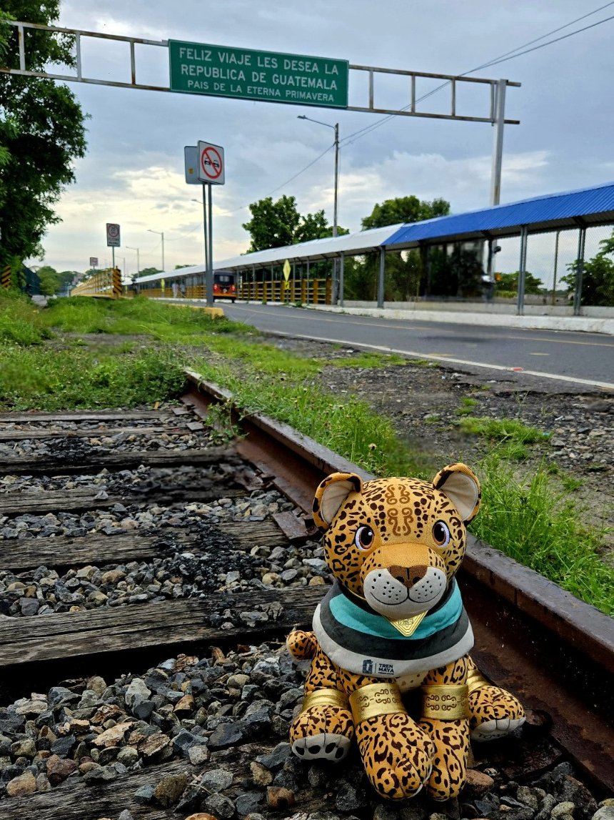 ConsulMexTeu's tweet image. "¡Ya rugió #Temayin!" 🐾🐆 desde la frontera sur 📍🇲🇽🇬🇹
La mascota oficial del #TrenMaya inicia su periplo mundial con el país vecino de Guatemala.
¿sabías que la estación más cercana a este punto es la de Palenque?
#temayinporelmundo.
#DiplomaciaTuristicaMX