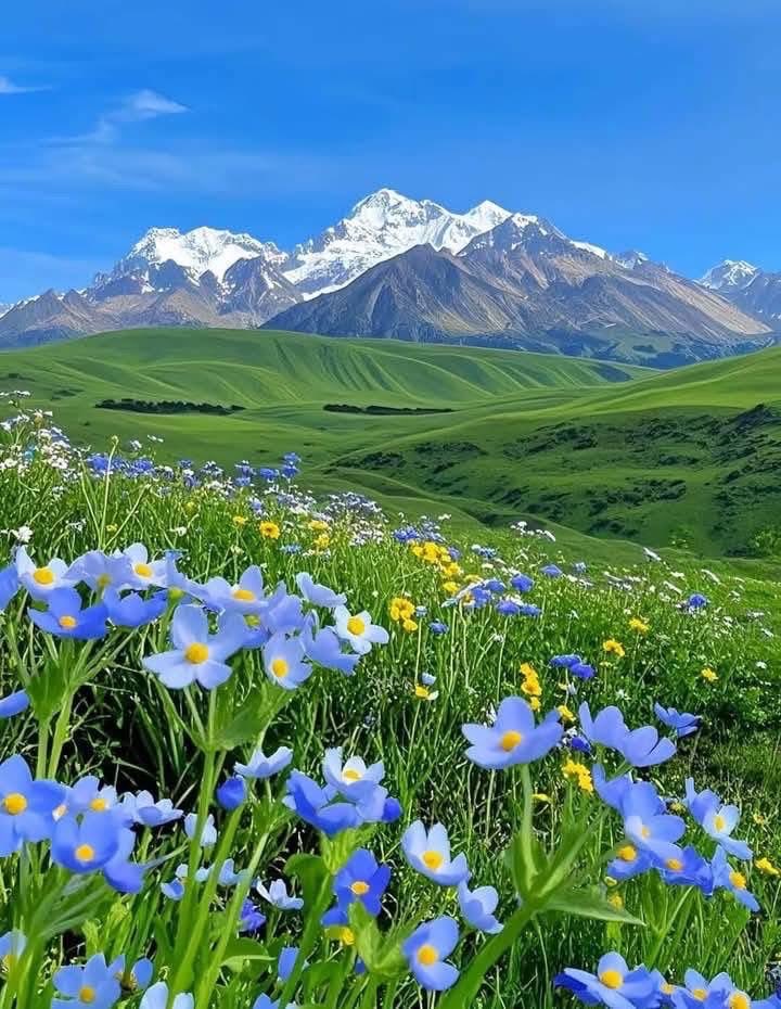 #ӨглөөнийМэндээ ⛈️☘️🌿🌷🫶
#GoodMorningFriends