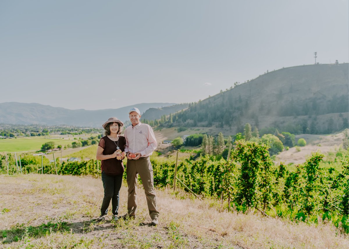 ArcticApples's tweet image. Happy Canada Day from our headquarters in beautiful Summerland, British Columbia 🍎🇨🇦

#CanadaDay #arcticapples #summerland #okanagan