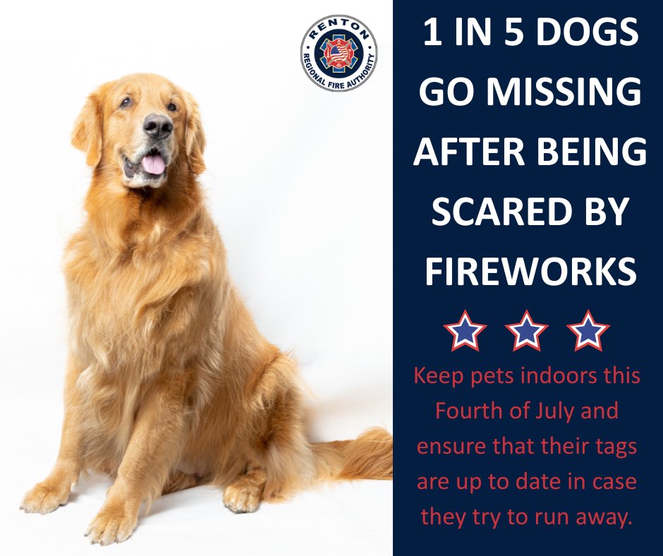Keep your pets safe this 4th of July. Keep them indoors and ensure their tags are up to date in case they try to bolt! Even if your pet normally prefers to be outdoors, loud noises from fireworks and parties can be terrifying for them and cause them to run away in panic. Let’s