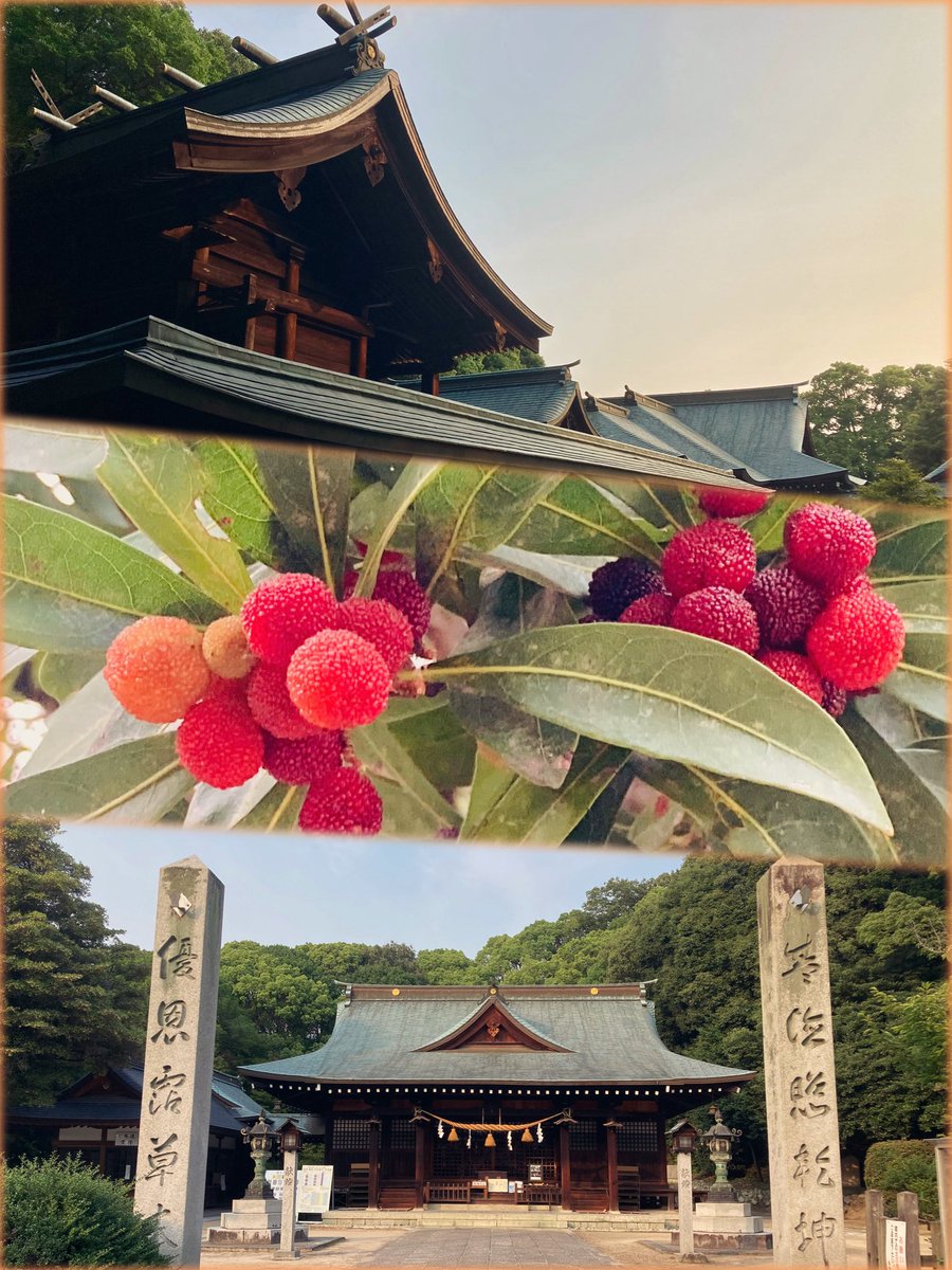 memory21002100's tweet image. 文月 おついたち参り
月の初めは氏神さまにご挨拶から
穏やかな日々を感謝しております
家族皆、健康に夏を越せますように🙏
紅の宝石 夏の陽に透け
誰のためでなく 輝く
#神社仏閣 #多家神社 #埃宮