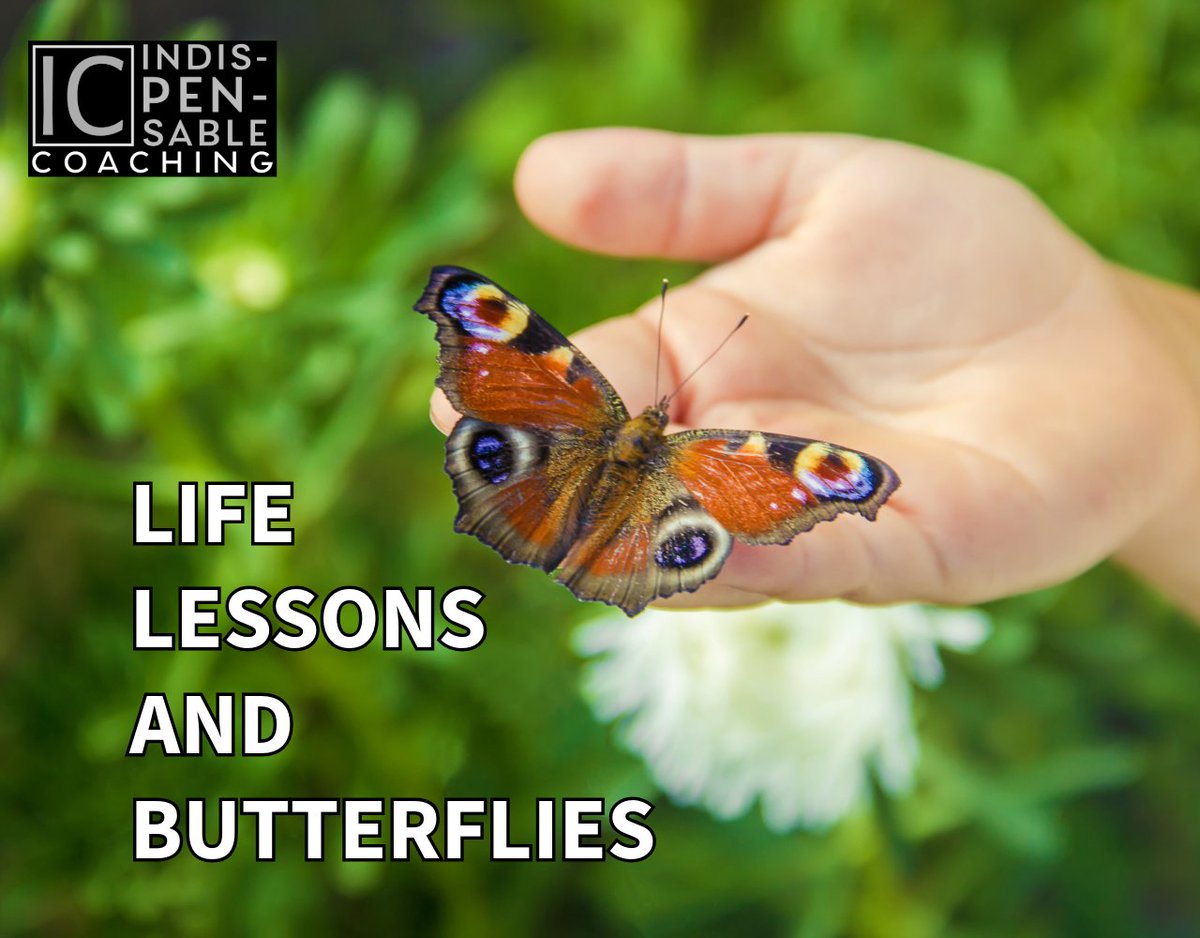 My daughter and I walked hand-in-hand to the deck, gently opened the butterfly habitat, and watched one of the butterflies flutter into the sky -- A Hallmark Moment --  UNTIL lT WASN'T...
Read more here:
linkedin.com/posts/jmkerr1_…
#Growth #Resilience #Transformation #LifeLessons