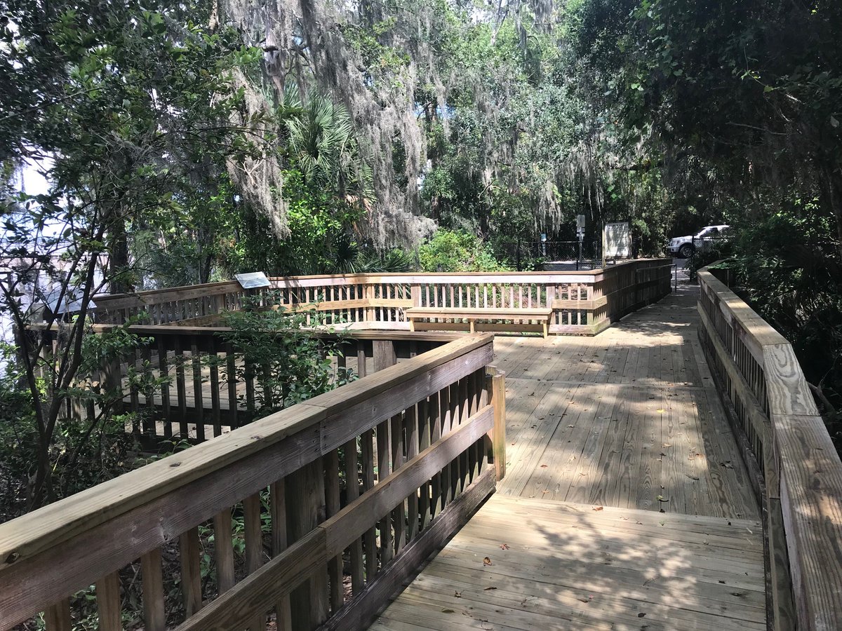 Did you know? More than 276 million people in the United States visited a local park or recreation facility at least once during the past year. When's your next visit?

Pictured is the boardwalk at Walter Jones Historical Park
🌳 11964 Mandarin Rd., 32223

<a href="/NRPA_news/">NRPA news</a>
