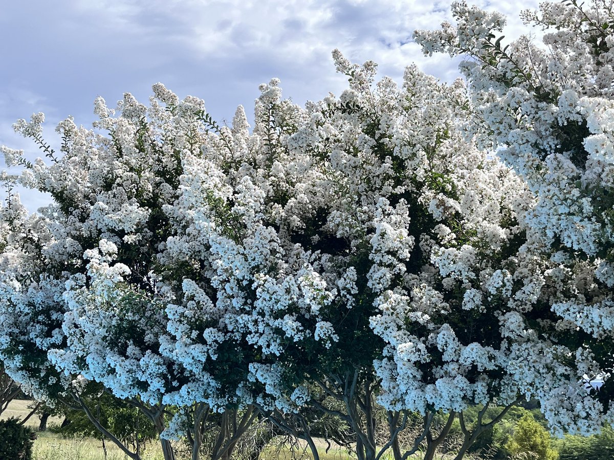 Geoff Mantooth is Trying to Figure it Out tweet media