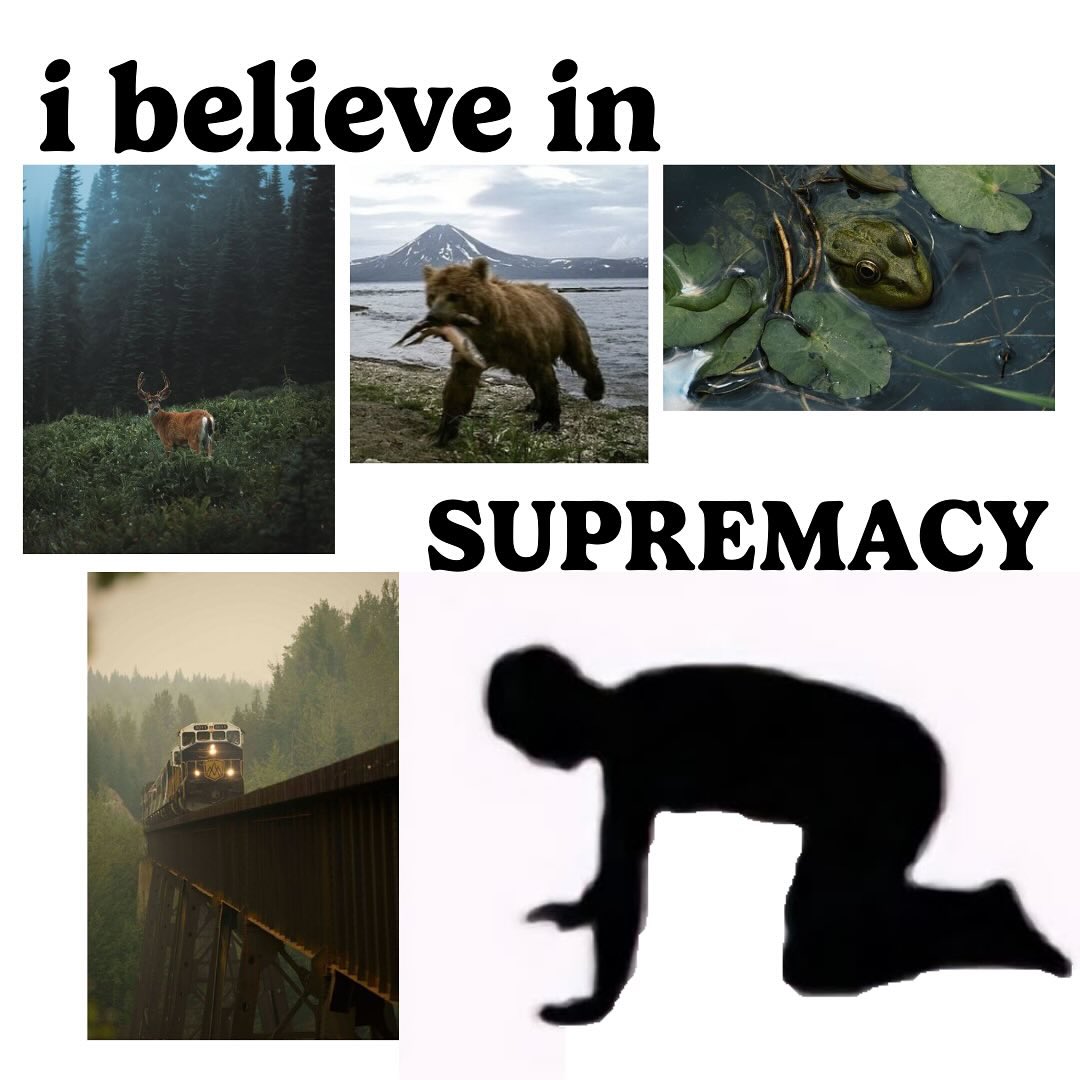 Я, когда дочитала «Лес» Светланы Тюльбашевой