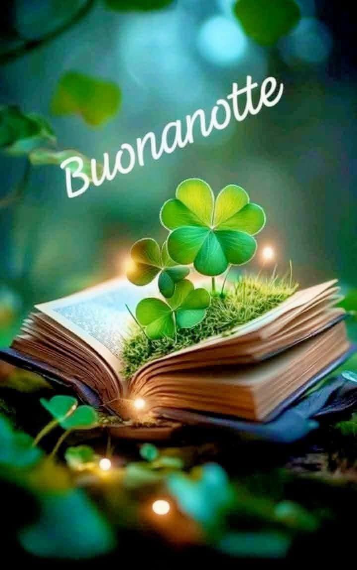 RITABIANCHi56 tweet media