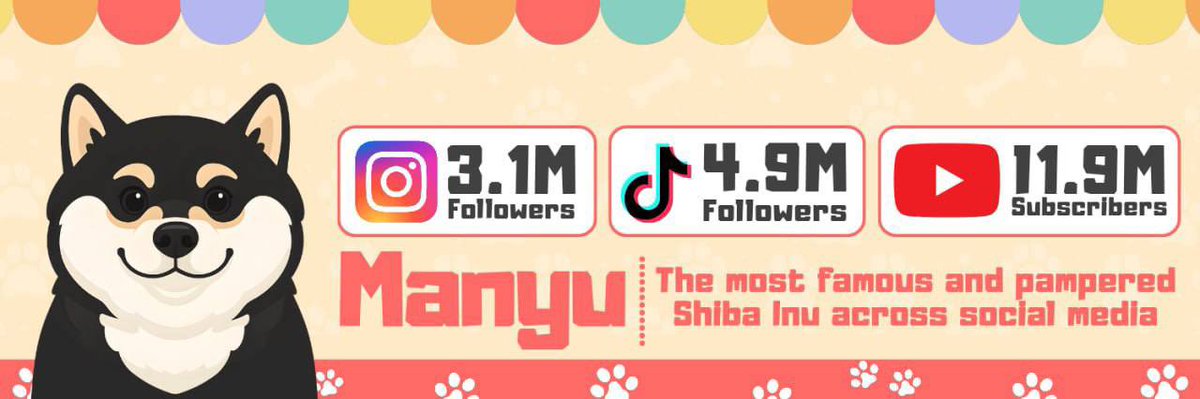 So $MANYU is literally the shiba everyone already knows, not missing this one.. 

20m + social following 😳

CA: 0x95af4af910c28e8ece4512bfe46f1f33687424ce