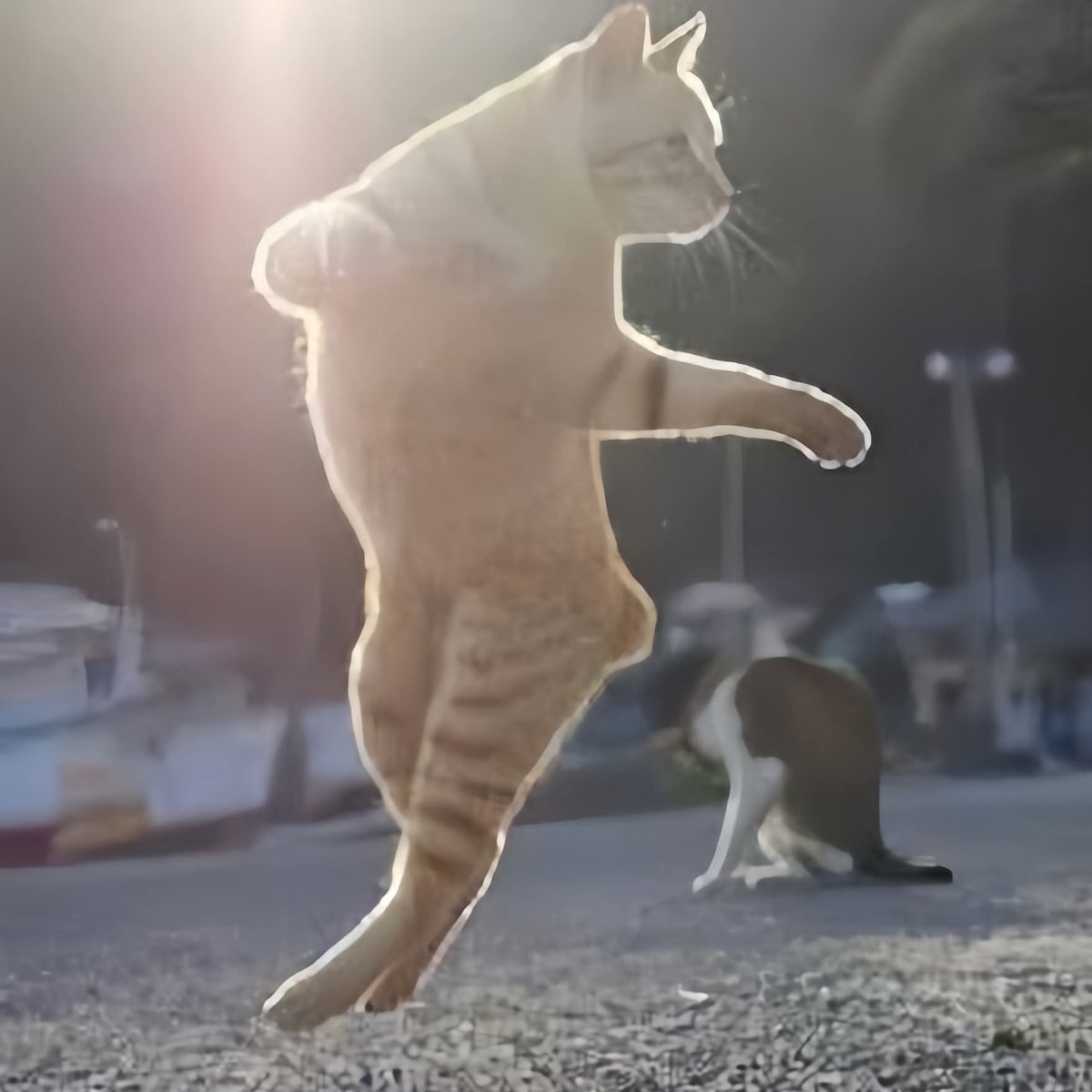 TAA cross!                           Gonzalo Header!