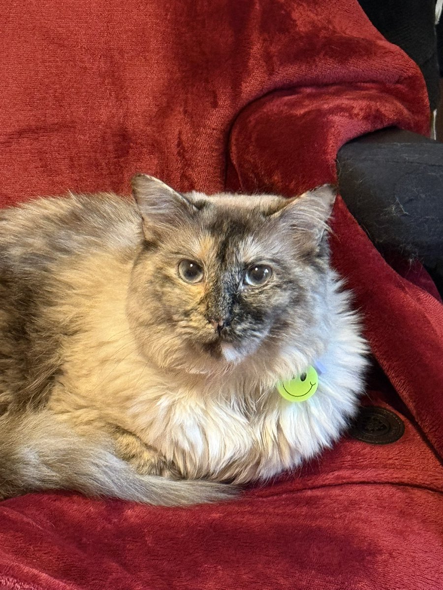 what do You thimk of Me ?