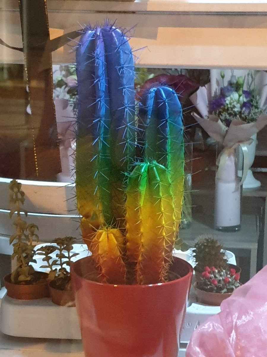 which color can you reach