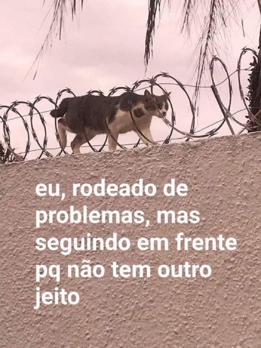 teu caos (@sobreteucaos) on Twitter photo 