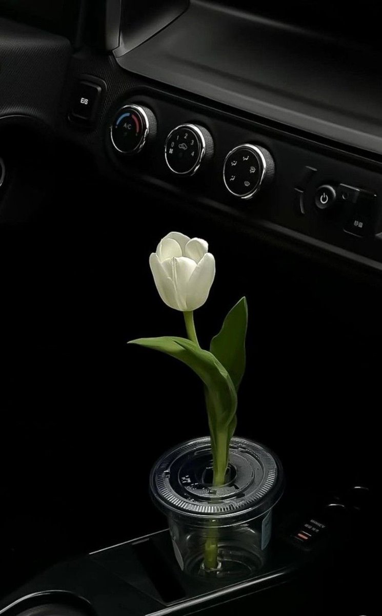 بحر 🌊 (@butterflless) on Twitter photo 