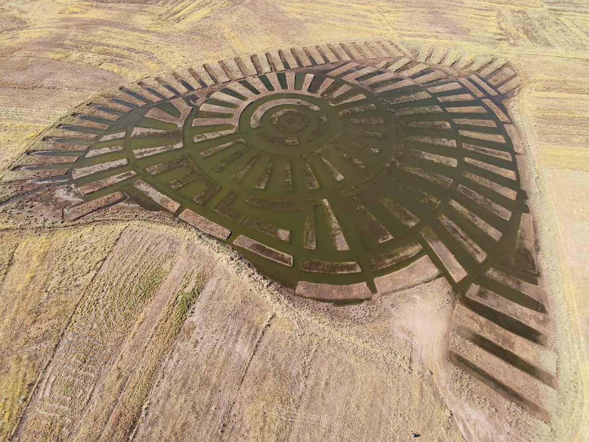 TonyTrupp's tweet image. The Waru Waru of the Geoglifos de Acora: an ingenious example of native permaculture.
I found these on google maps while planning this trip to Peru. My local guide and driver weren’t yet aware of 3 of the 4 we visited.
The earliest of these are believed to date back to around…