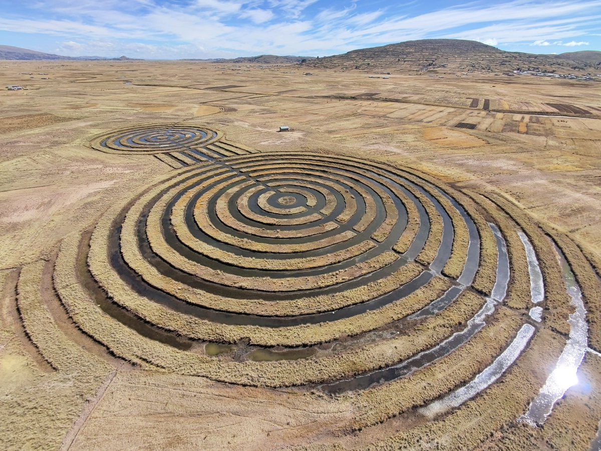 TonyTrupp's tweet image. The Waru Waru of the Geoglifos de Acora: an ingenious example of native permaculture.
I found these on google maps while planning this trip to Peru. My local guide and driver weren’t yet aware of 3 of the 4 we visited.
The earliest of these are believed to date back to around…