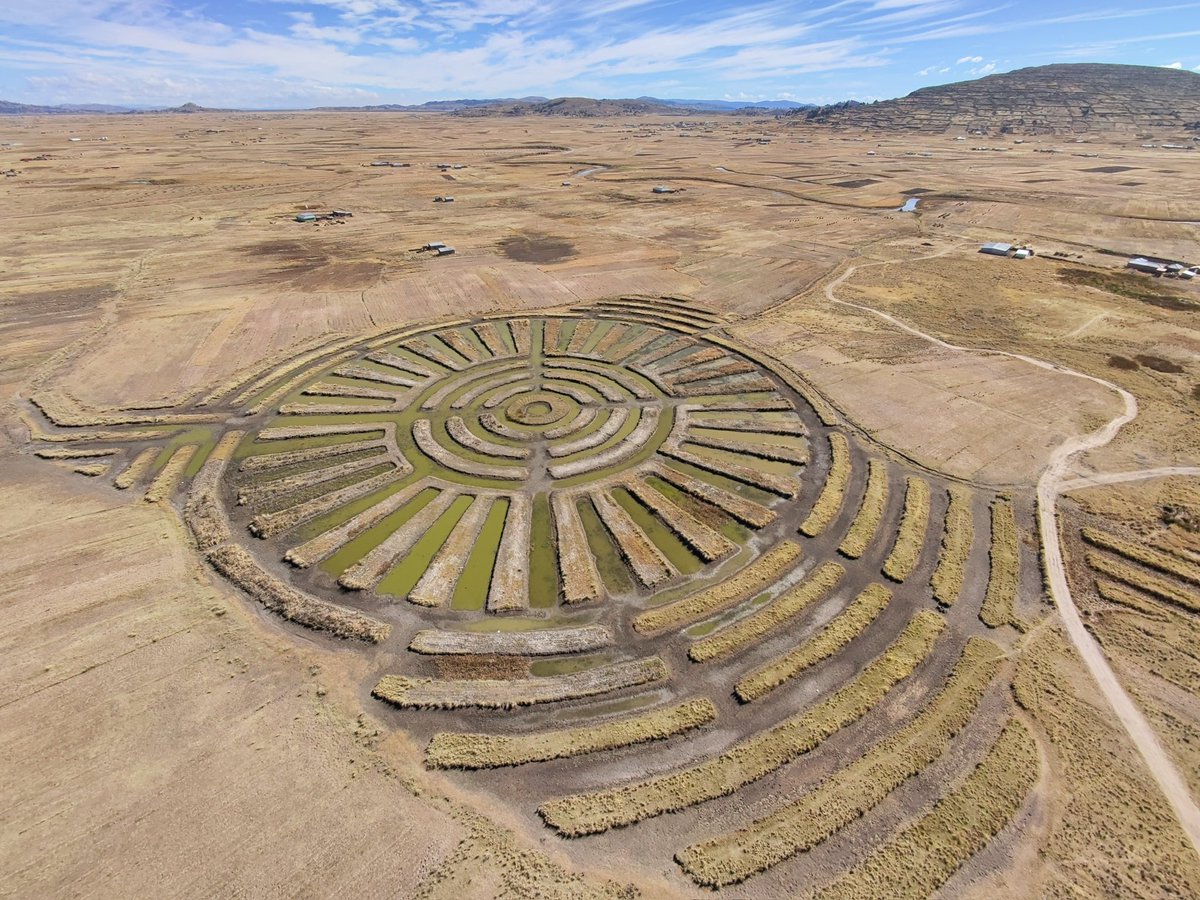 TonyTrupp's tweet image. The Waru Waru of the Geoglifos de Acora: an ingenious example of native permaculture.
I found these on google maps while planning this trip to Peru. My local guide and driver weren’t yet aware of 3 of the 4 we visited.
The earliest of these are believed to date back to around…