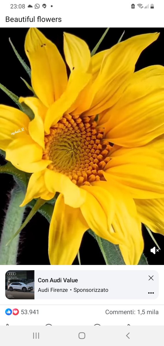 ❣💞❣goodnight and sweetness dreams ❣💞❣