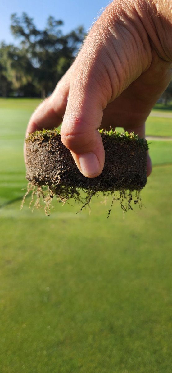 John Rustek (@turf_wizard) on Twitter photo Is this good? <a href="/JackCreveling/">Jack Creveling</a> <a href="/TurfsolutionsFL/">Nathan Florian</a> <a href="/HillenDamian/">Damian Hillen</a> Is this good? <a href="/JackCreveling/">Jack Creveling</a> <a href="/TurfsolutionsFL/">Nathan Florian</a> <a href="/HillenDamian/">Damian Hillen</a>
