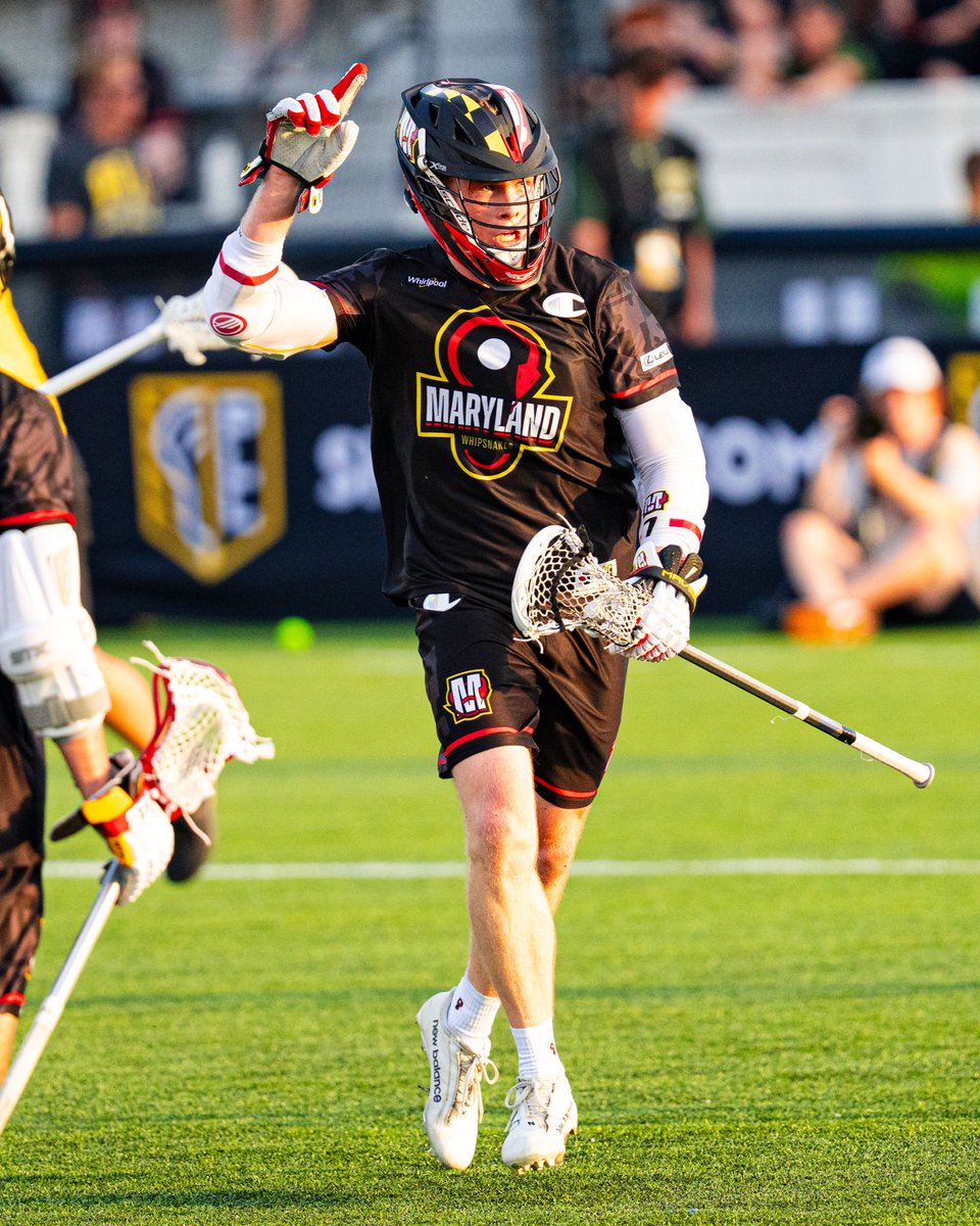 Maryland Whipsnakes tweet media