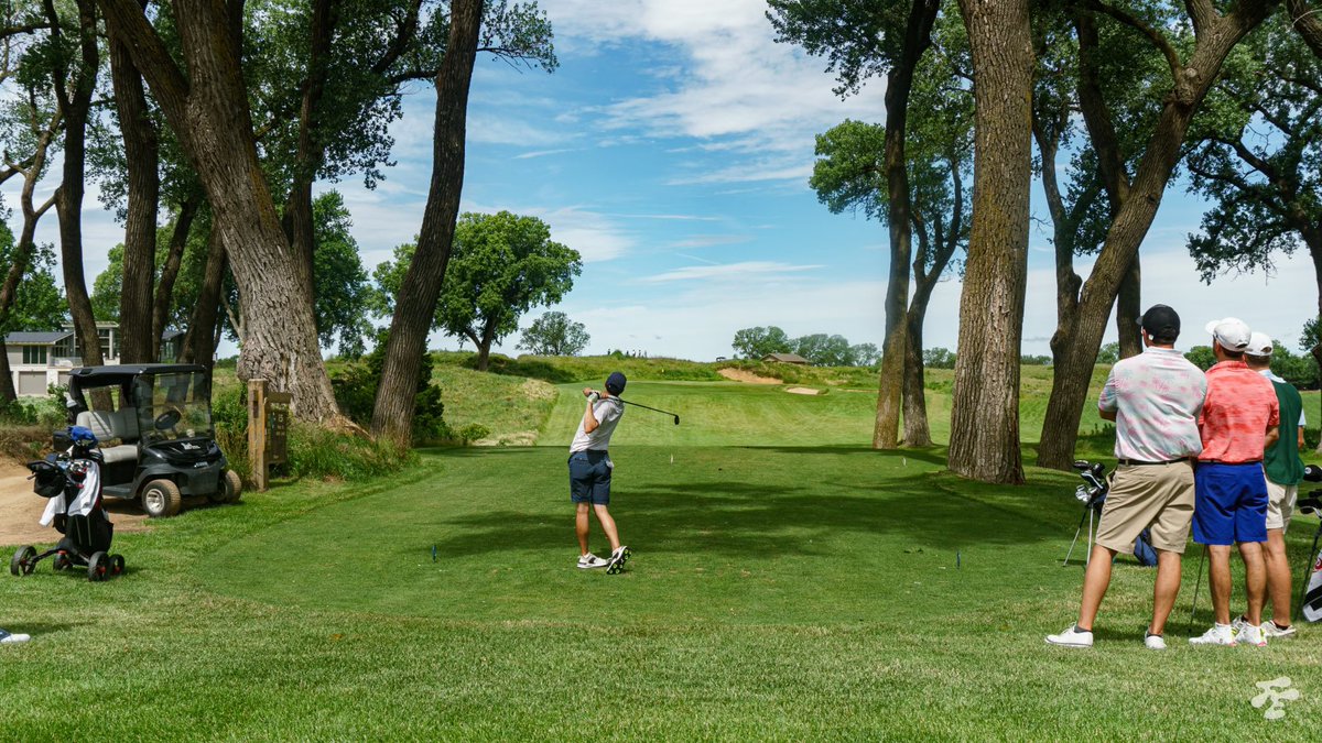 Fried Egg Golf tweet media