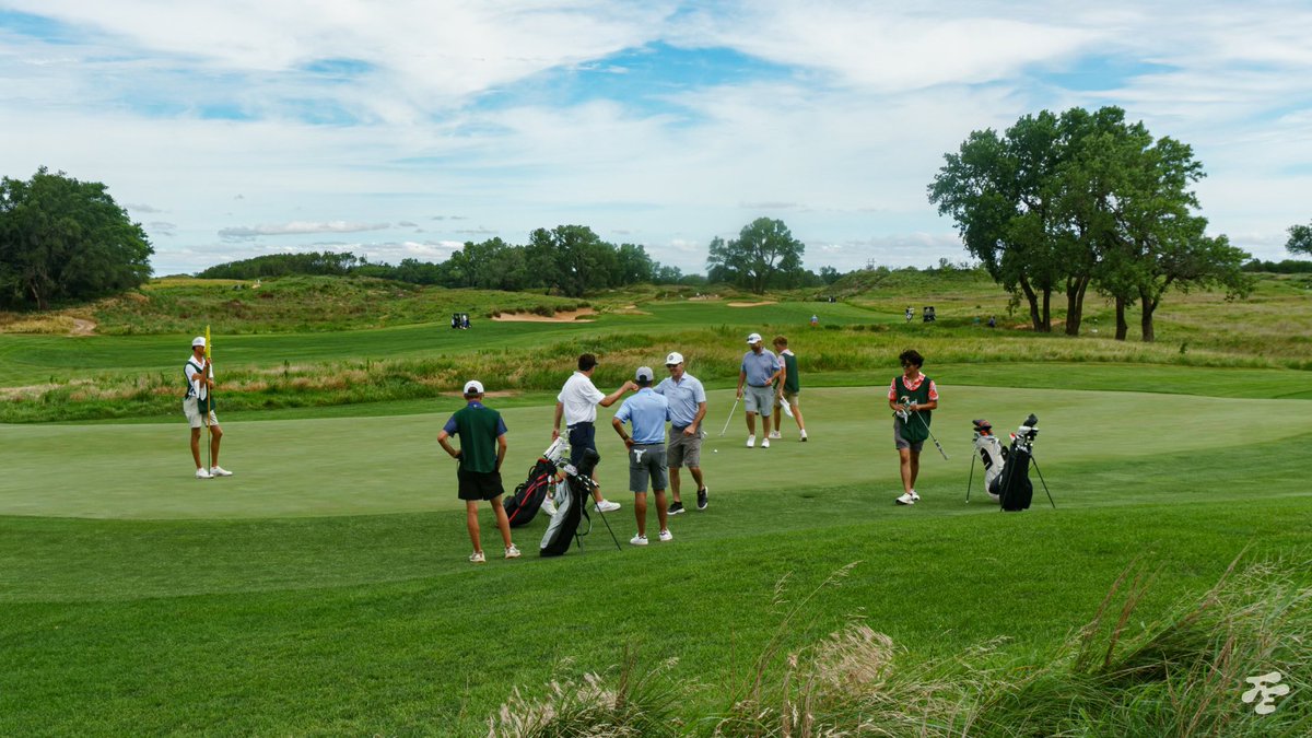 Fried Egg Golf tweet media