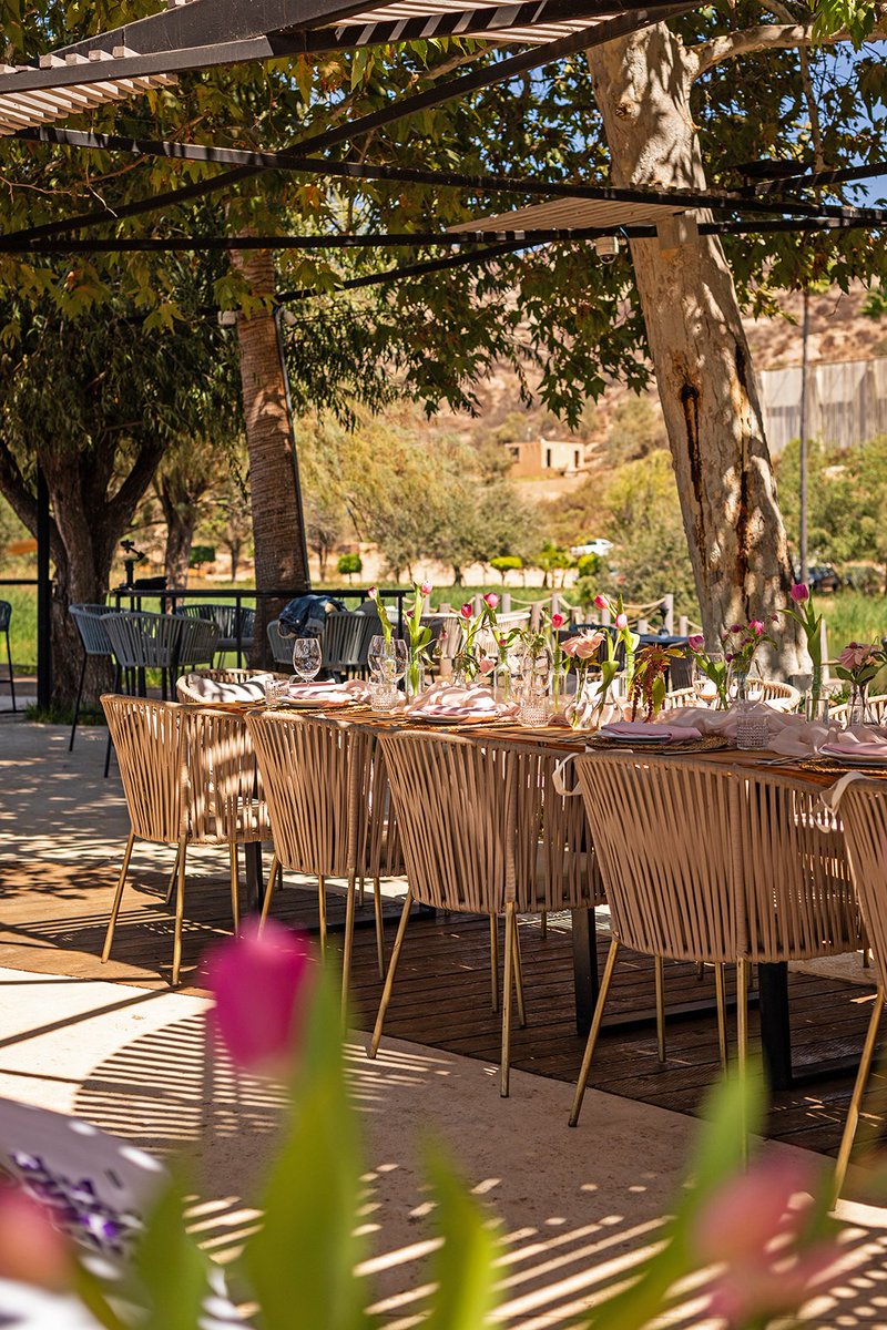 El Conocedor México tweet media