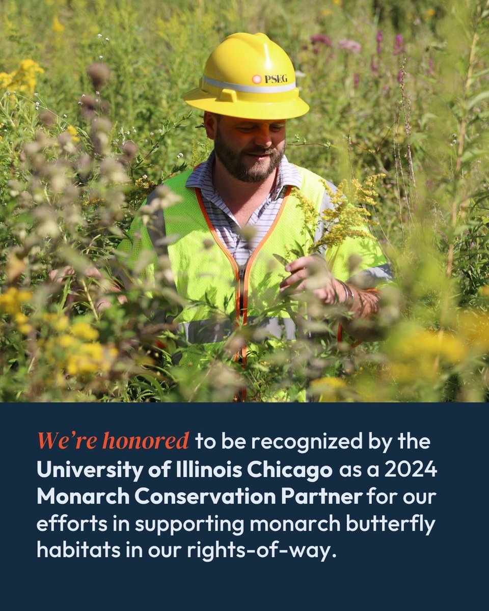 PSEG (@psegnews) on Twitter photo We’re honored to be named a Monarch Conservation Partner by <a href="/thisisUIC/">University of Illinois Chicago</a> for our work supporting #MonarchButterfly habitats in 2024. 🦋
From powering your homes to helping pollinators thrive – we’re proud to brighten our communities.
🌱 Learn more: spr.ly/60194YHuc We’re honored to be named a Monarch Conservation Partner by <a href="/thisisUIC/">University of Illinois Chicago</a> for our work supporting #MonarchButterfly habitats in 2024. 🦋
From powering your homes to helping pollinators thrive – we’re proud to brighten our communities.
🌱 Learn more: spr.ly/60194YHuc