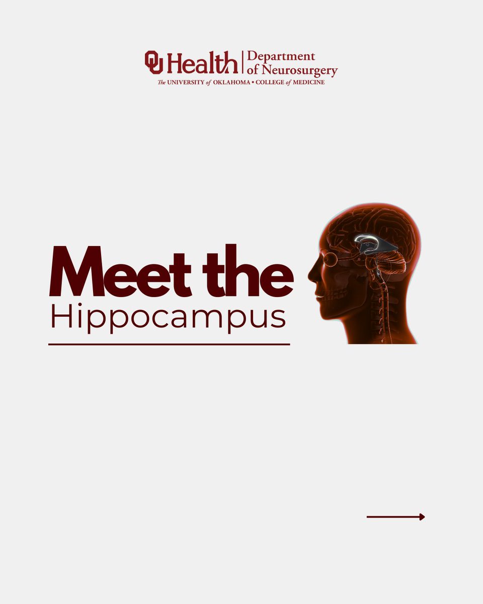 OU_Neurosurgery's tweet image. The hippocampus helps you form memories, regulate emotions, and navigate your world. Damage to it is linked to Alzheimer’s, epilepsy & depression. That’s why brain health matters.
Learn how OU Neurosurgery supports care at every stage.
🔗 Read more. tinyurl.com/4c3ydmxm?utm_c…