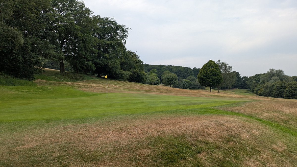 It's a tough job keeping moisture levels up so we do have a few dry patches ,we will be verticutting before the weekend which should help with the roll and getting more moisture to the dry bits , we are hand watering every day , as you can see the greens are holding up quite well