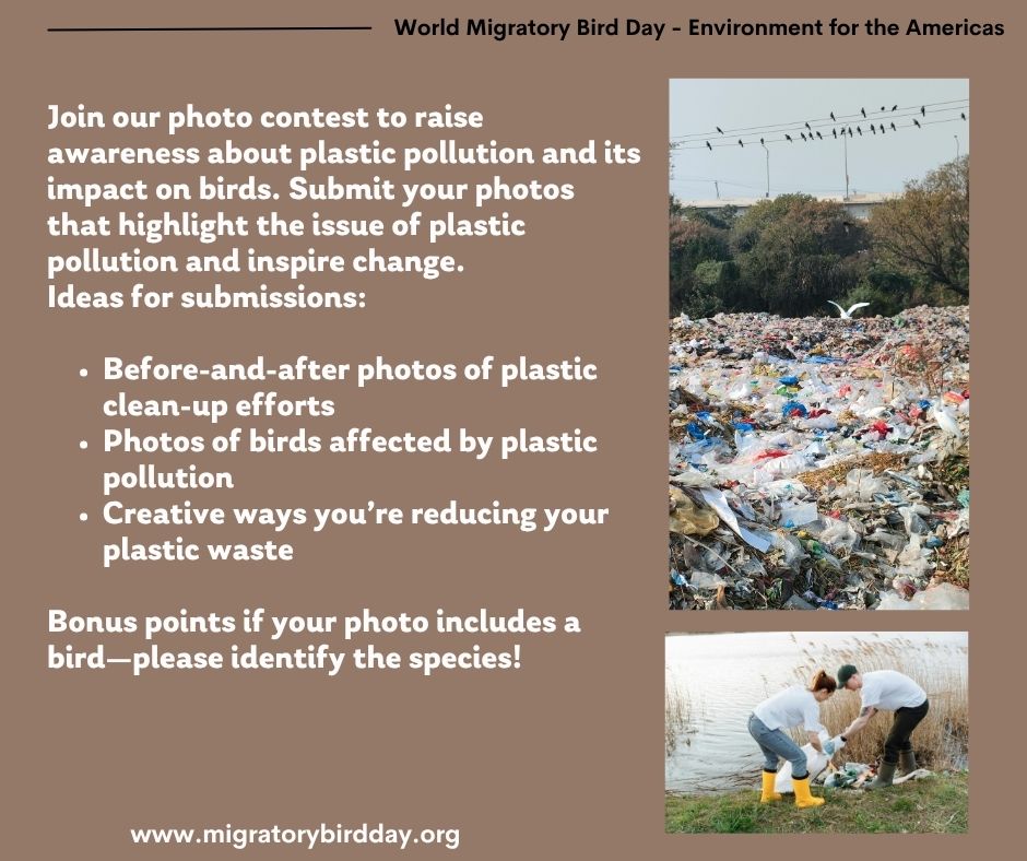 🌎📸 Be the Solution to Plastic Pollution!  
Join our photo contest and make a difference through the power of imagery.  

Submit on migratorybirdday.org
loom.ly/7H299Y4
#PlasticPollution #BirdsMatter #ConservationPhotography #BeTheSolution #ProtectNature