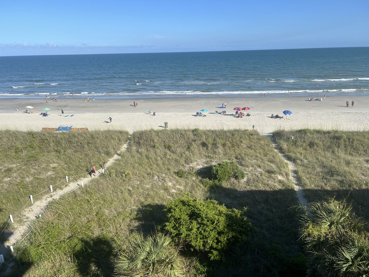 EusaK9's tweet image. Back at our happy place!