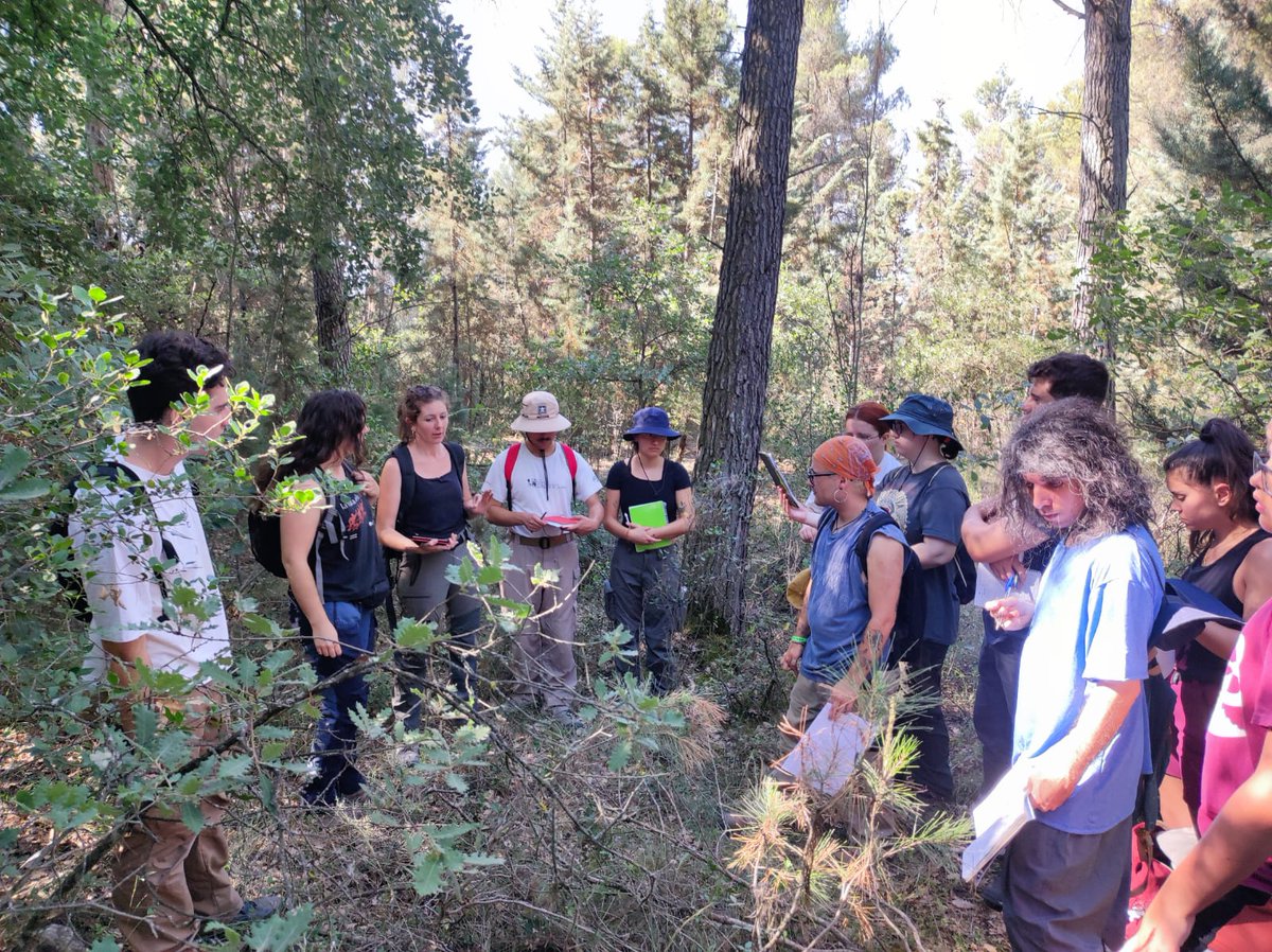 🌱Dilluns vam prospectar la zona per tal d'identificar les estructures vinculades amb el campament. Vam documentar-les en fitxes d'estructura amb el seu corresponent croquis.

1/2 ⬇️