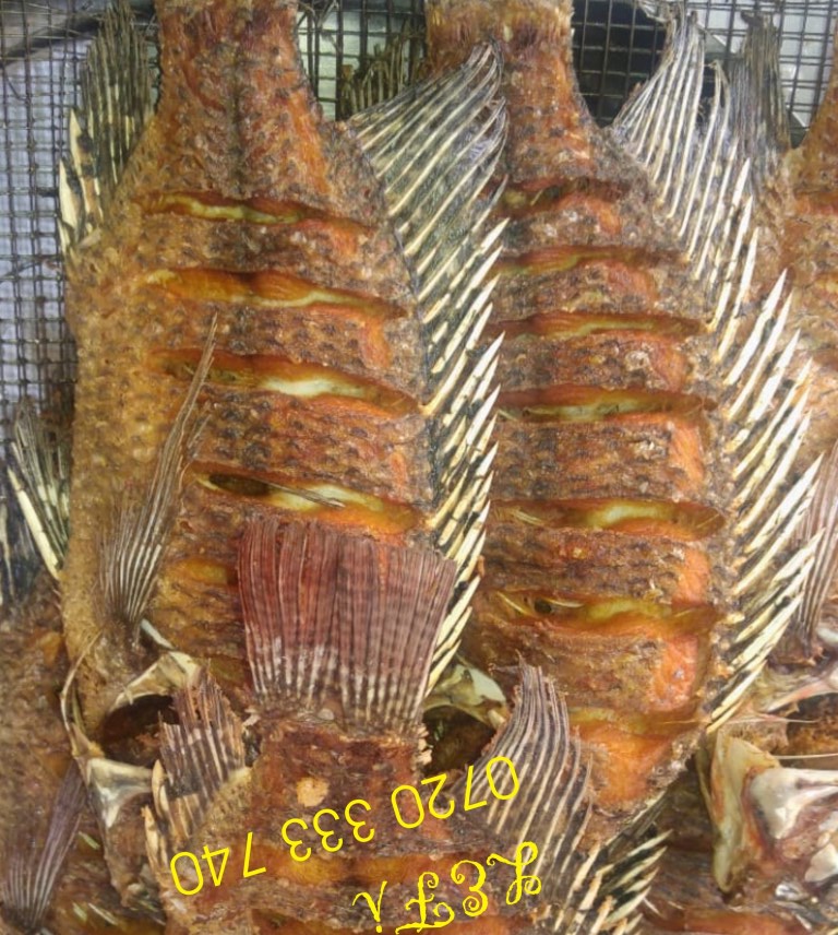 JumaCJ1's tweet image. If you're in Ongata Rongai today, get some take away TILAPIA from: LET'S EAT FISH!
--- Ongata Rongai, Iconic Biz Centre Shop G21. Near Siron Hotel; 0720333740
