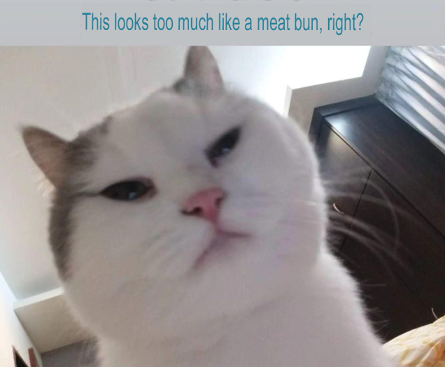 TranslatedCats's tweet photo. https://t.co/xepJ6ZYOxO