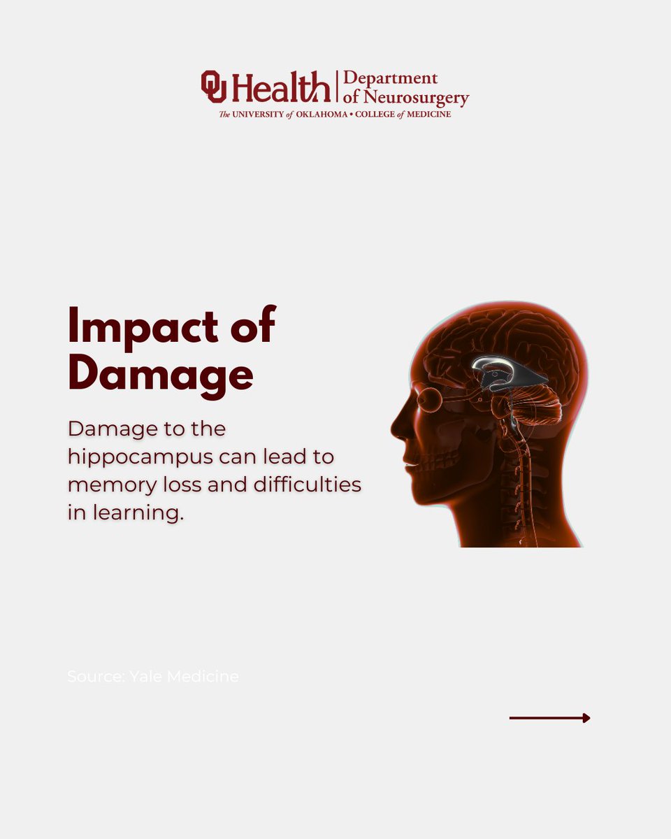 OU_Neurosurgery's tweet image. Continued...
The hippocampus helps you form memories, regulate emotions, and navigate your world. Damage to it is linked to Alzheimer’s, epilepsy & depression. That’s why brain health matters.
Learn how OU Neurosurgery supports care at every stage. tinyurl.com/4c3ydmxm?utm_c…