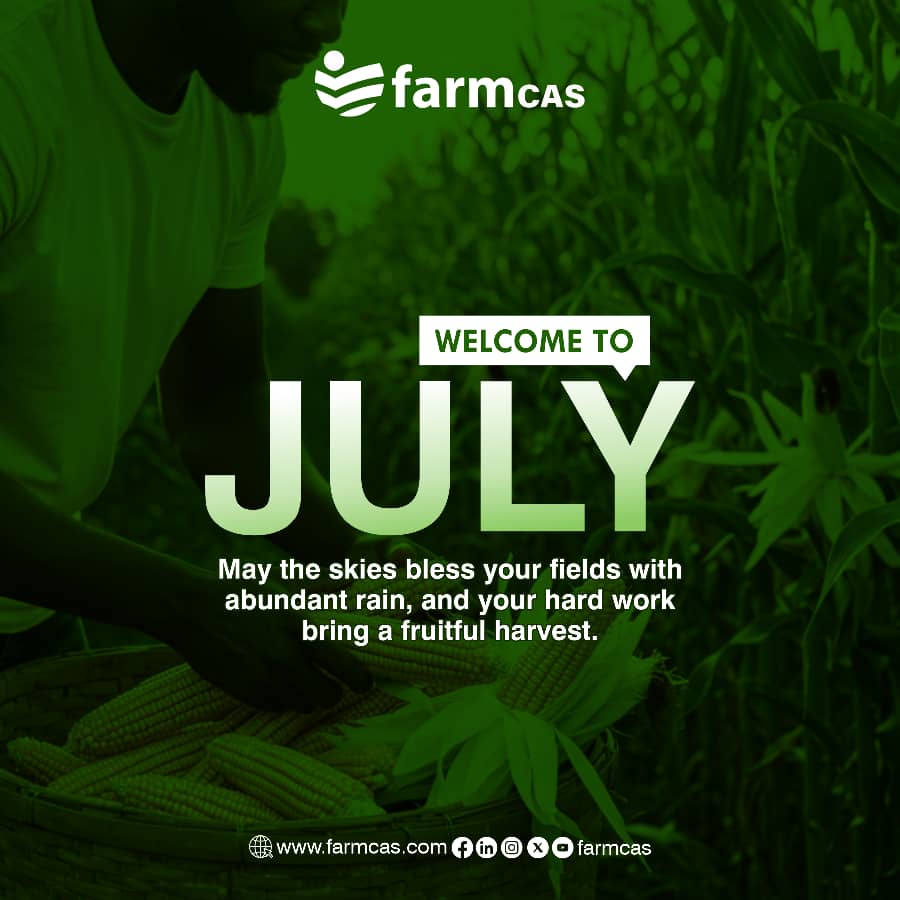 horpeeyhemii's tweet photo. Happy New Month!
At FarmCAS, we're dedicated to empowering agricultural professionals and streamlining HR processes.
May this fresh start Q3 bring new opportunities
Wishing you a productive and fulfilling month ahead!
#NewMonthVibes #AgriculturalHR #FarmCAS #TalentNurturing https://t.co/VhXdz0jhcy