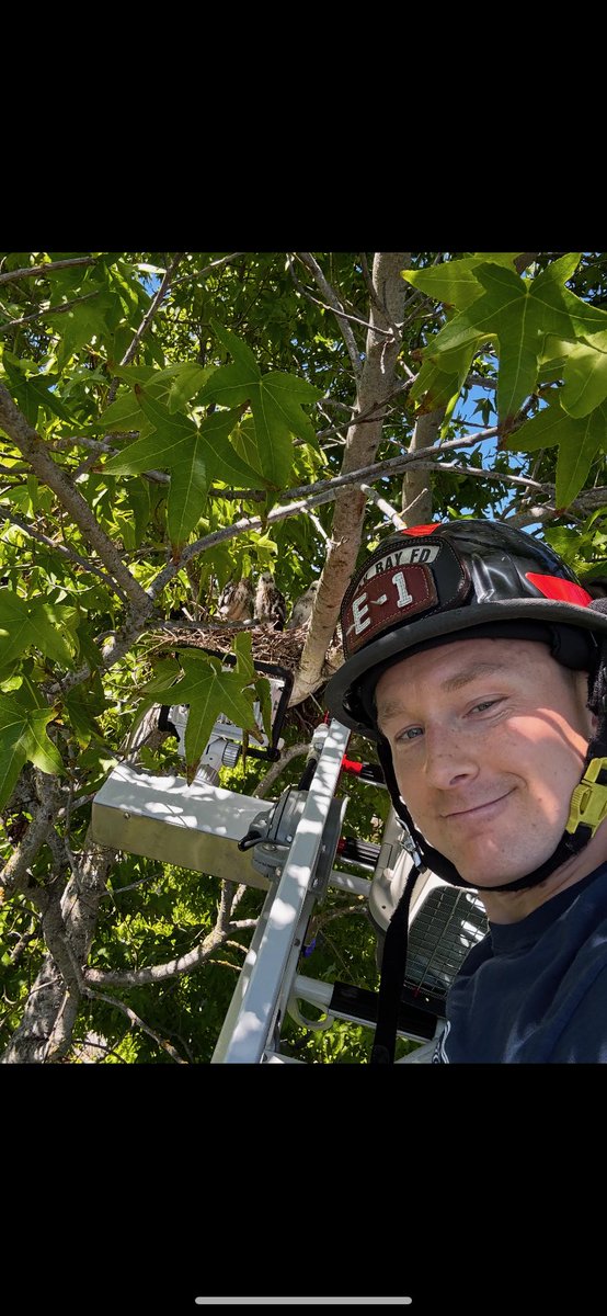Oak Bay Fire tweet media