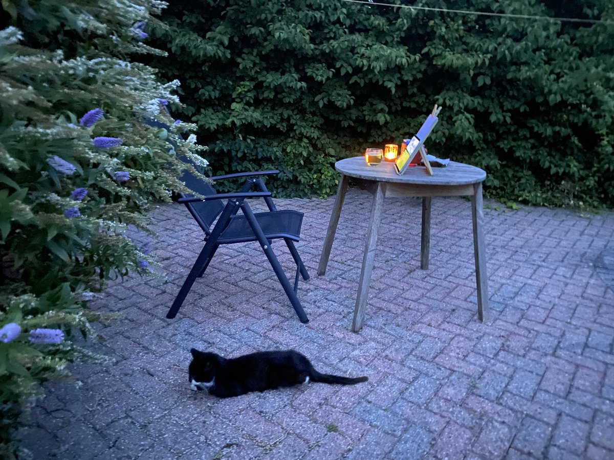 Spiddly's tweet image. When the night brings coolness and clarity, and the faint glow of the day illuminates the clouds, there’s no better time and place to write than outside.