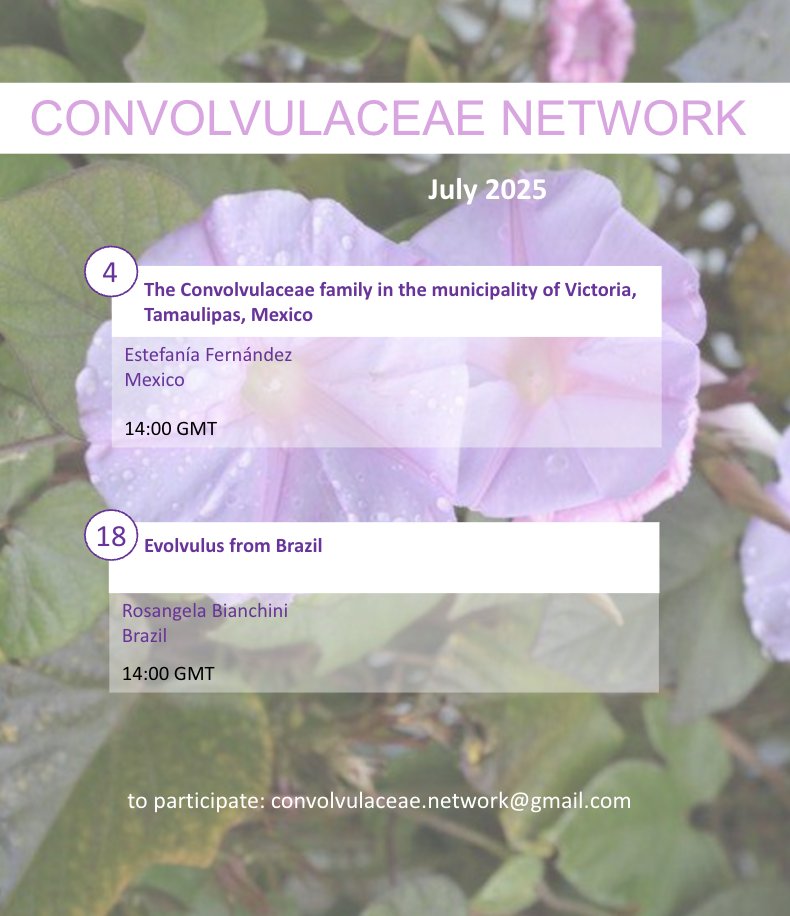 Convolvulaceae Network tweet media
