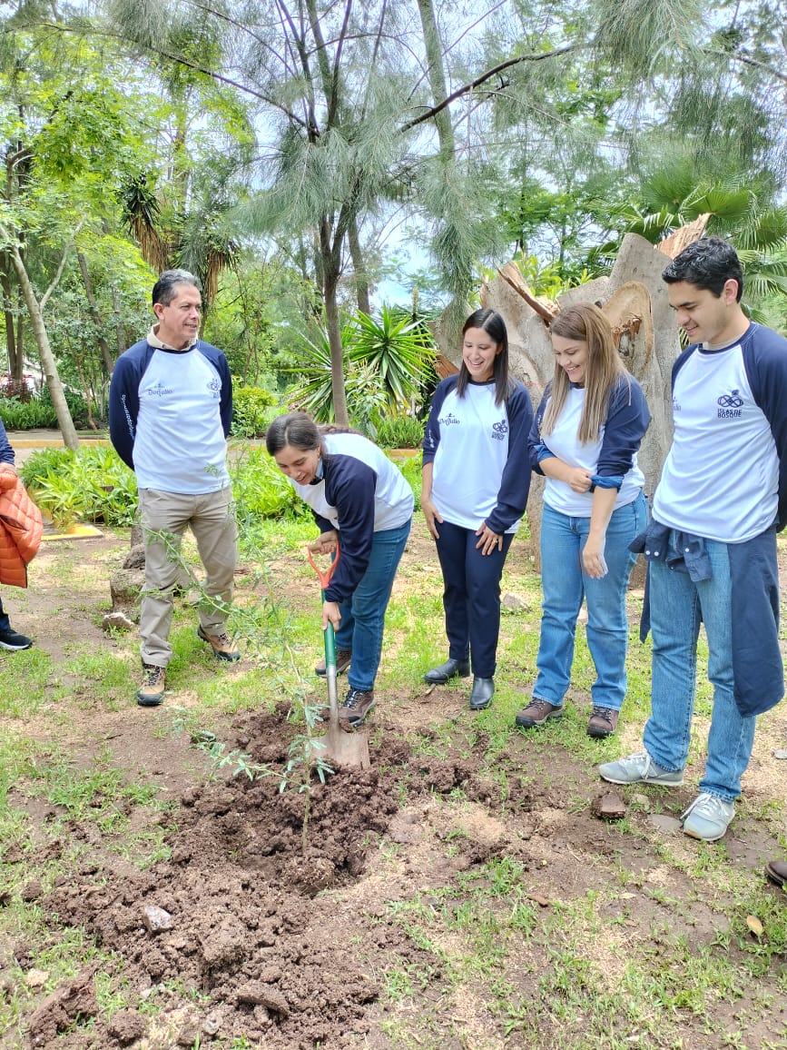 Aipromades tweet media