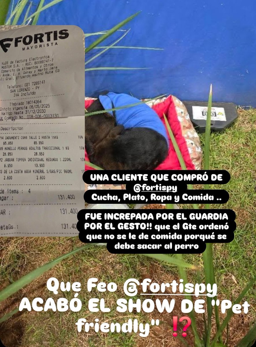 Hasta hace muy poquito, FORTIS facturaba a costilla de animales; VENGAN CON SUS MASCOTAS‼️

Hace días un cachorro ronda el super, una cliente que siempre lo ve, le compró cucha, comida y ropa. 

DE INMEDIATO SE ACERCA UN GUARDIA Y PROHIBE A LA SRA QUE DE COMIDA AL PERRO‼️

Pues
