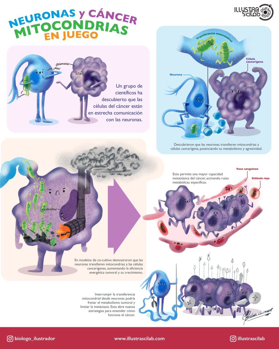 Por eso es clave contar con una infografía que ayude a explicar y comunicar descubrimientos relevantes.
¿Y por qué no hacerlo en español? 😉