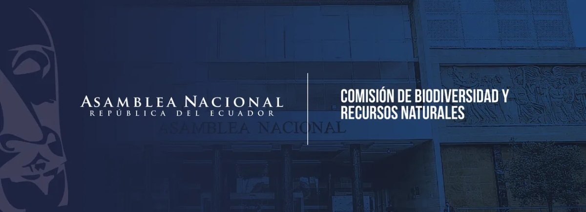 Asamblea Nacional (@asambleaecuador) on Twitter photo Con el cuórum reglamentario, se instala la sesión Nº6 de <a href="/BiodiversidadAN/">Comisión de la Biodiversidad y Recursos Naturales</a>. Síguela en vivo aquí: facebook.com/ComisionBiodiv…
#AsambleaEc2025 Con el cuórum reglamentario, se instala la sesión Nº6 de <a href="/BiodiversidadAN/">Comisión de la Biodiversidad y Recursos Naturales</a>. Síguela en vivo aquí: facebook.com/ComisionBiodiv…
#AsambleaEc2025