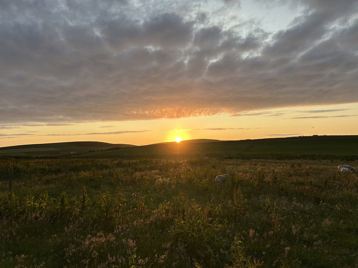 A beautiful evening #Orkney