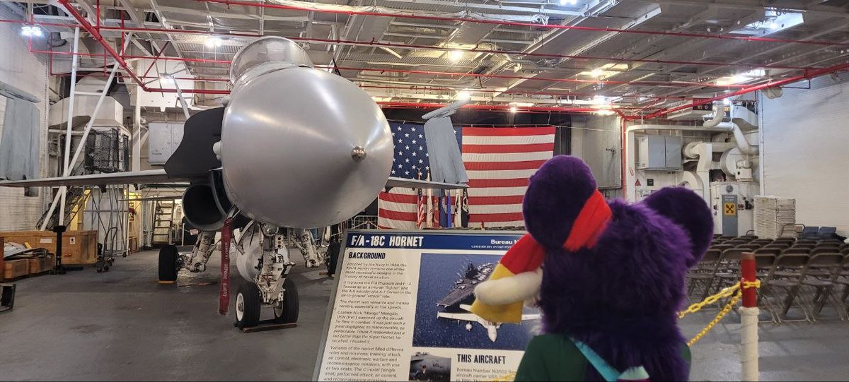 Little rat learning about United States history leading up to the 4th of July.
#fursuiting #kidfur