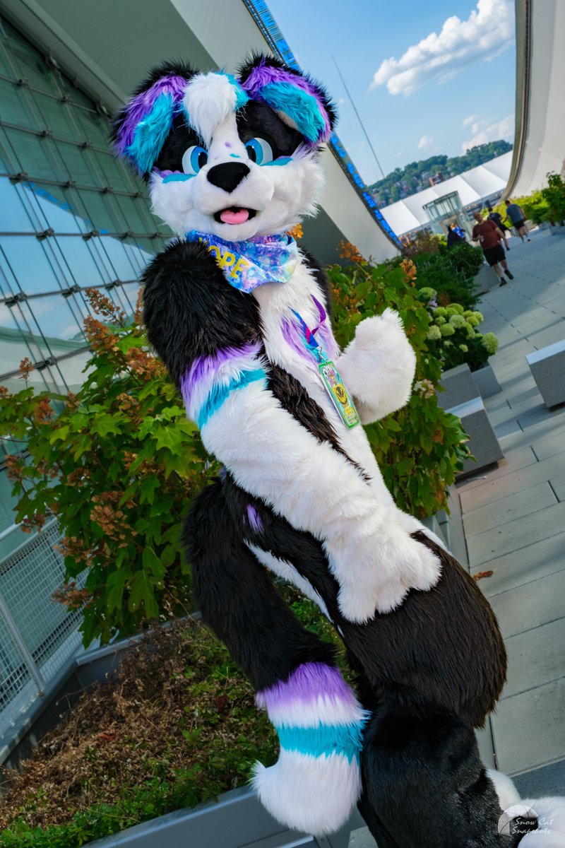 Come with me! Headed to #anthrocon2025 starting Thursday!

Dos:
✅ Come say hi! 😃
✅ Get a big hug 🫂
✅ Lots of pics and selfies 📷
✅ Tell me your name!
✅ Invite me to things!

✅ Come too my panel Sunday, 3pm: "The Hope Panel"

Don't:
❌ Not actually throw the ball